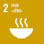 SDG 02 Icon