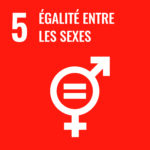 SDG 5 Icon