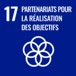 SDG 17 Icon